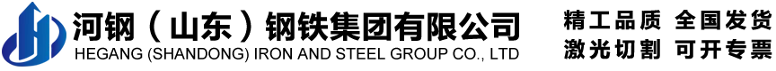 河鋼（山東）鋼鐵集團(tuán)有限公司